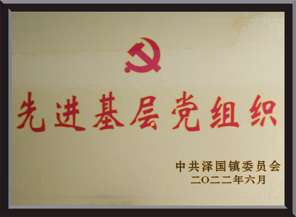 先进的基层党组织