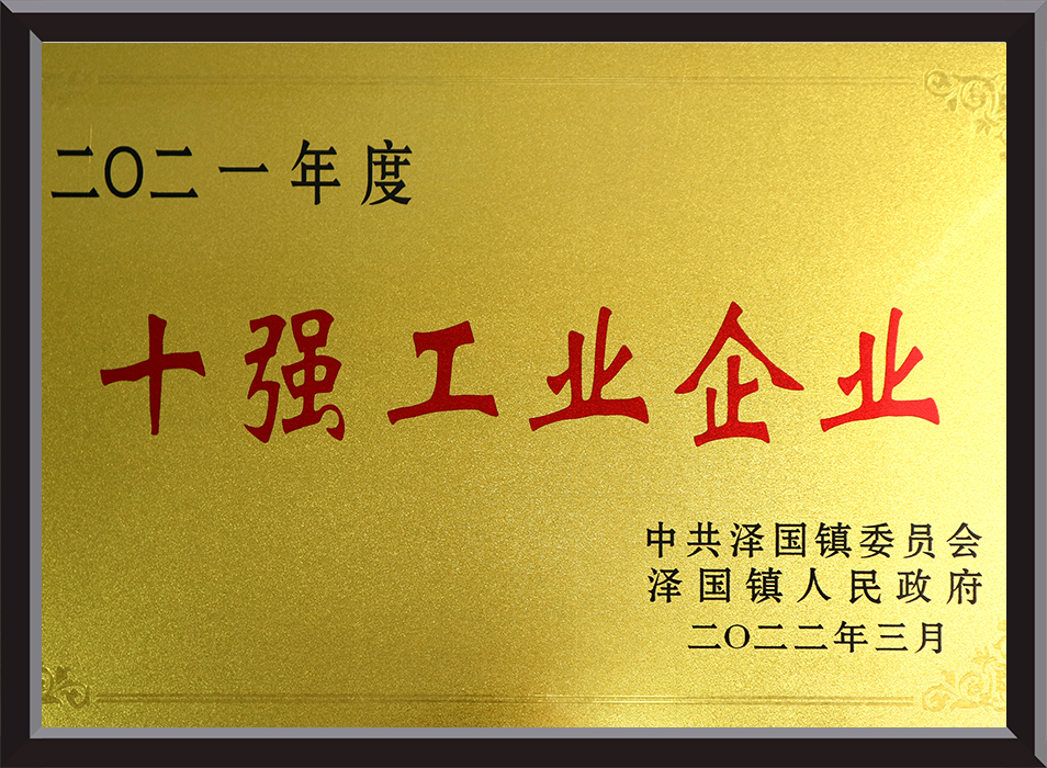 2021年全镇十大工业企业