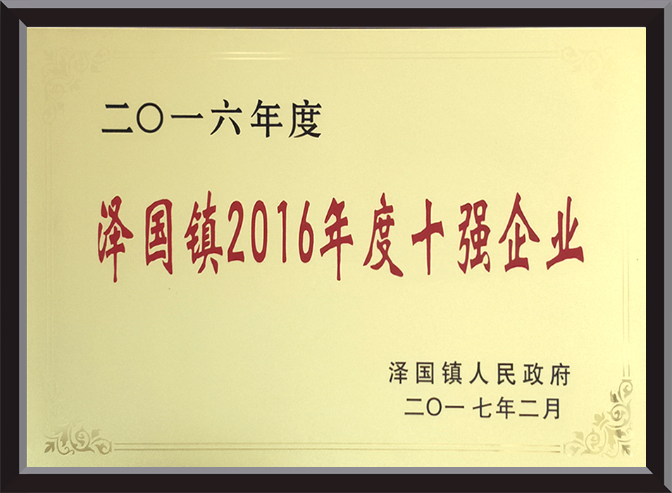 泽国镇2016年度十强企业