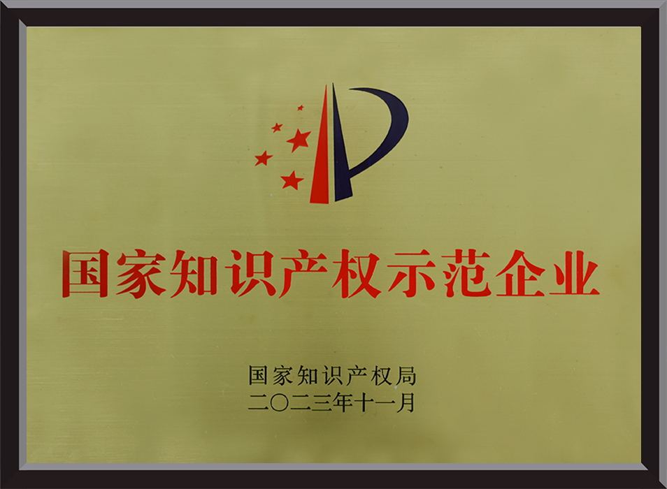 国家知识产权示范企业