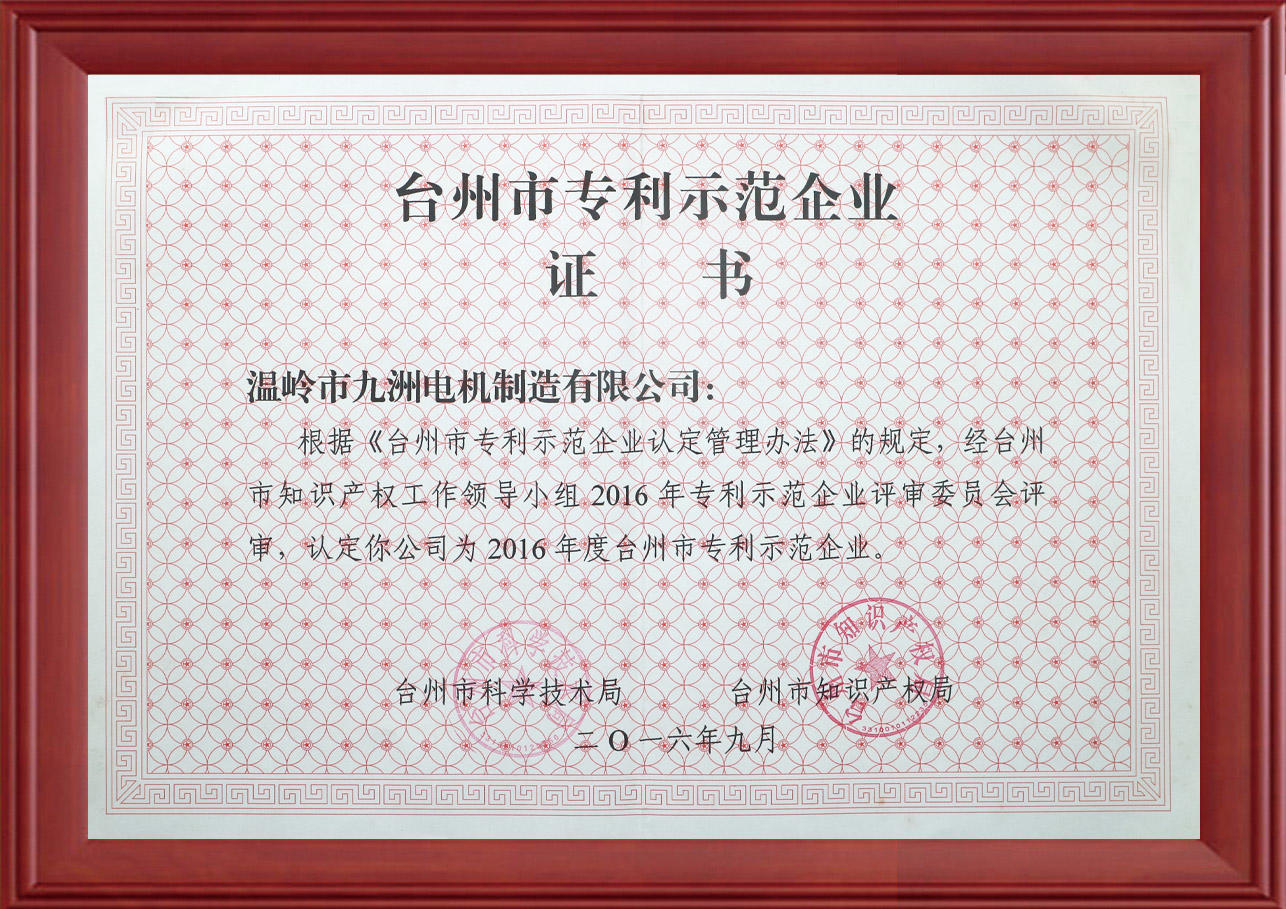台州市专利示范企业证书